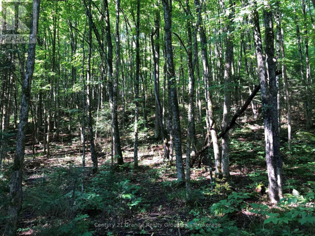 LOT 6-10 MOON ROAD, 