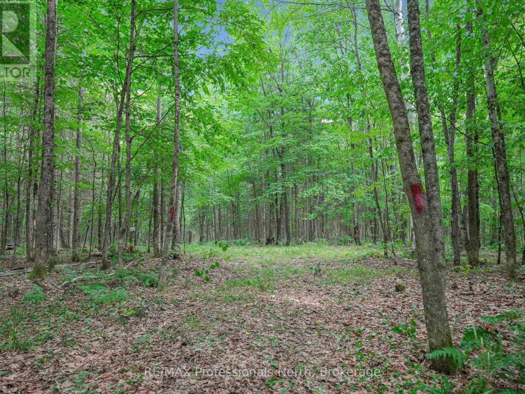 1453 MINNICOCK LAKE ROAD, 