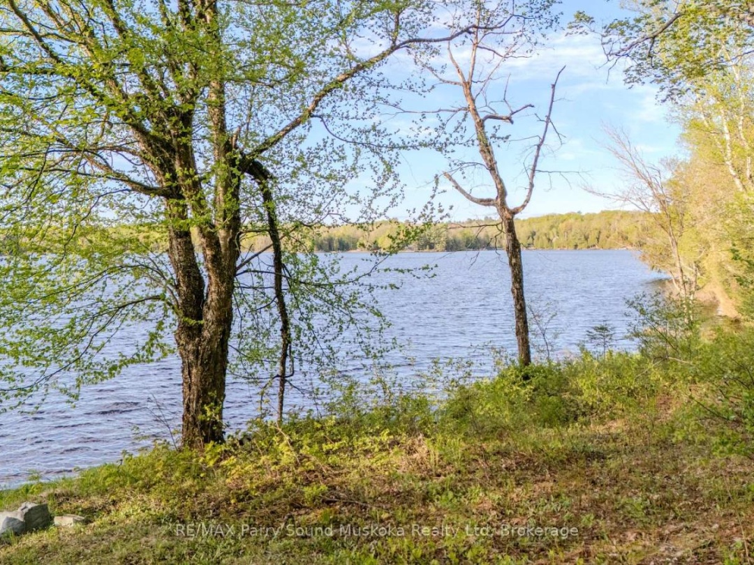 82 Bradley Road, Blackwater Lake