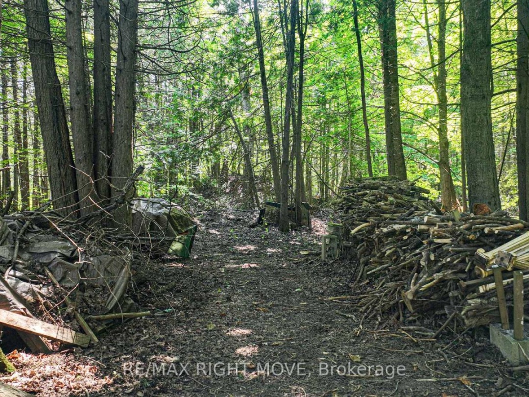 1613 Mt. St. Louis Road E, Oro-Medonte