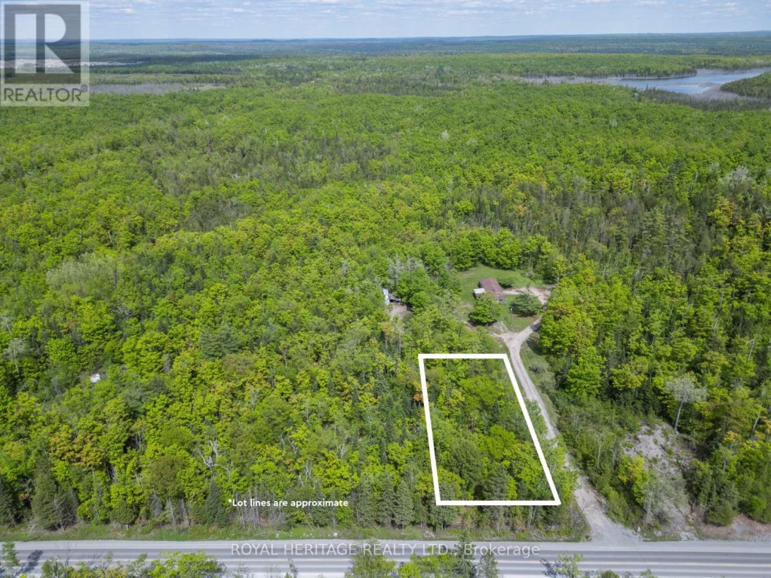 992 COUNTY ROAD 49, Trent Lakes