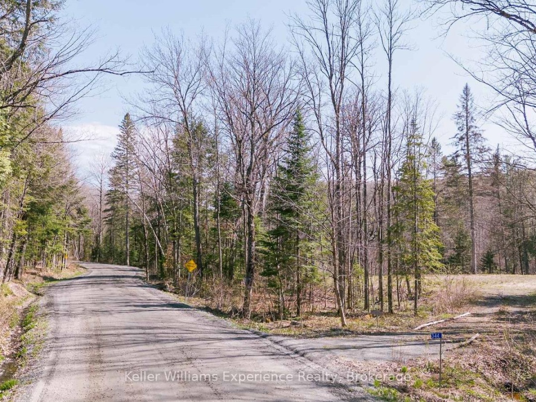 344 NORTH FOX LAKE ROAD, 