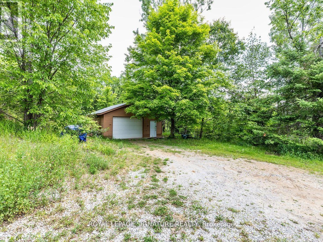 147 BULLER ROAD, 