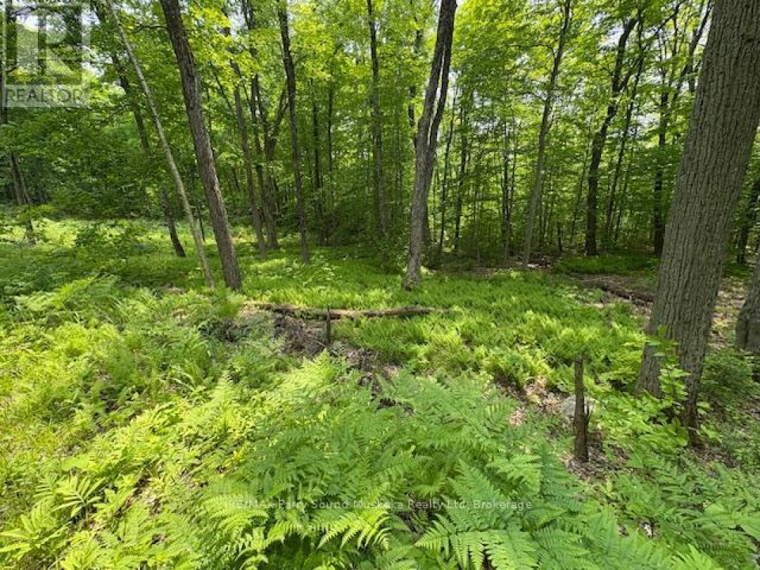 0 Loucks Road, Seguin