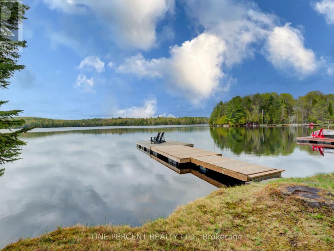 1105 Lakeshore Road, Gooderham Lake