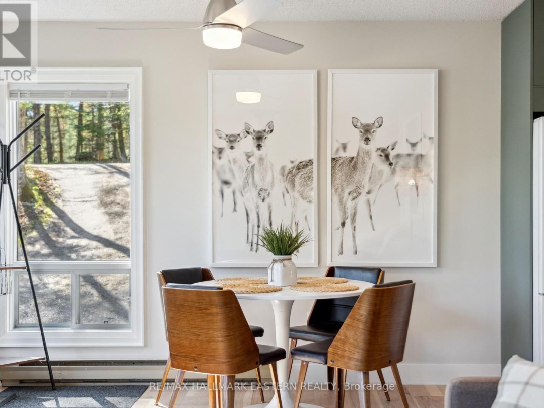 1025 Dickies Lane, Gooderham Lake