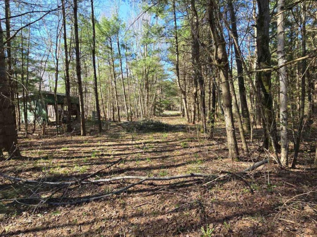 1205 Fair Grounds Road, Ramara