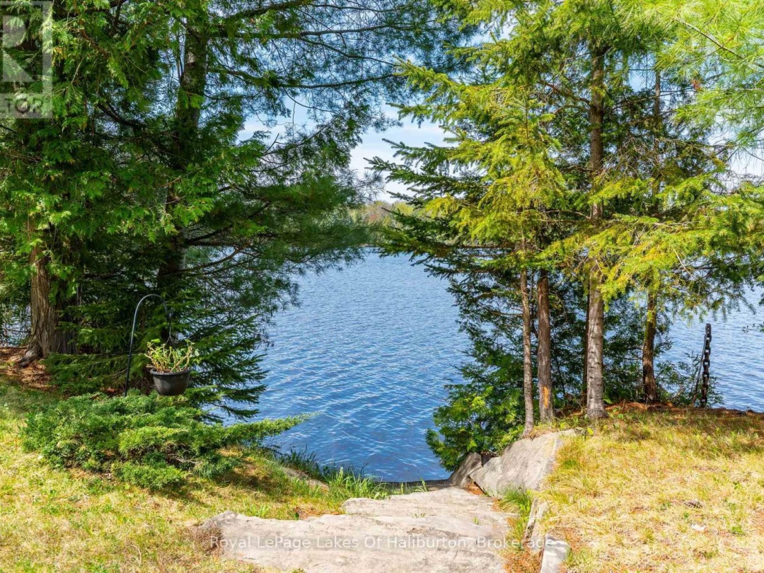 1089 PIONEER ROAD, Gooderham Lake
