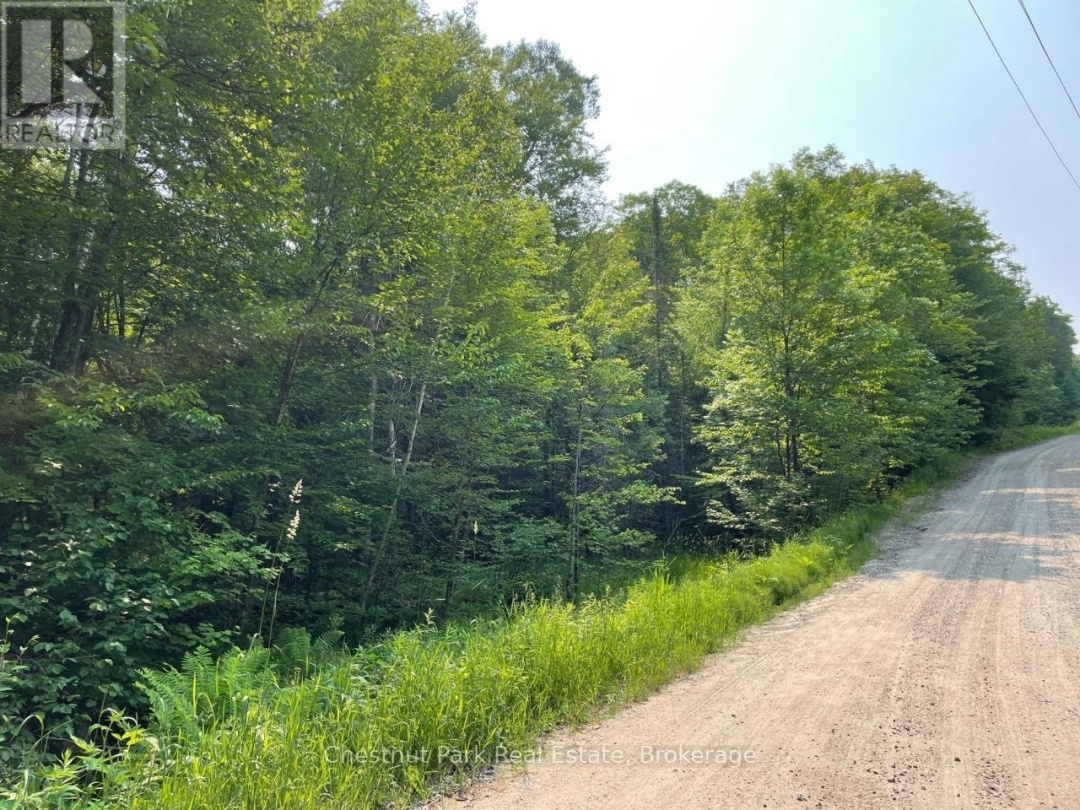 0 COLEMAN LAKE ROAD, 