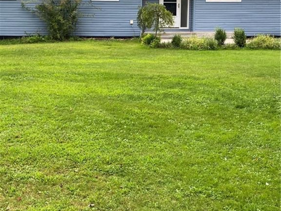 105 FREDERICK Street, 