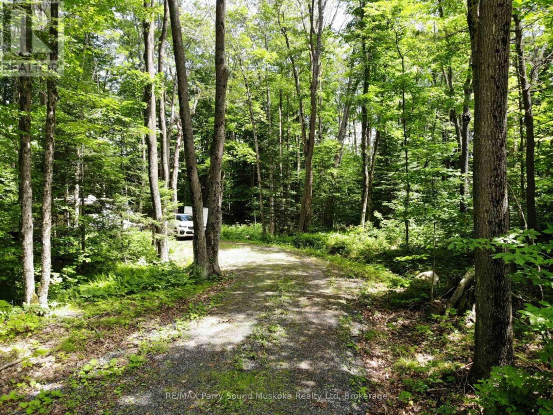 63 Sandy Plains Road, Seguin
