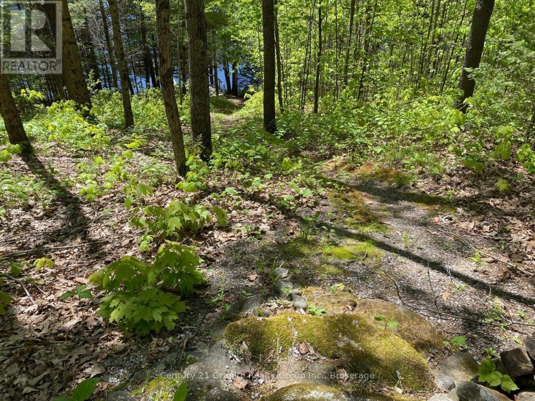 1037 ROTUNDA DRIVE, Contau Lake