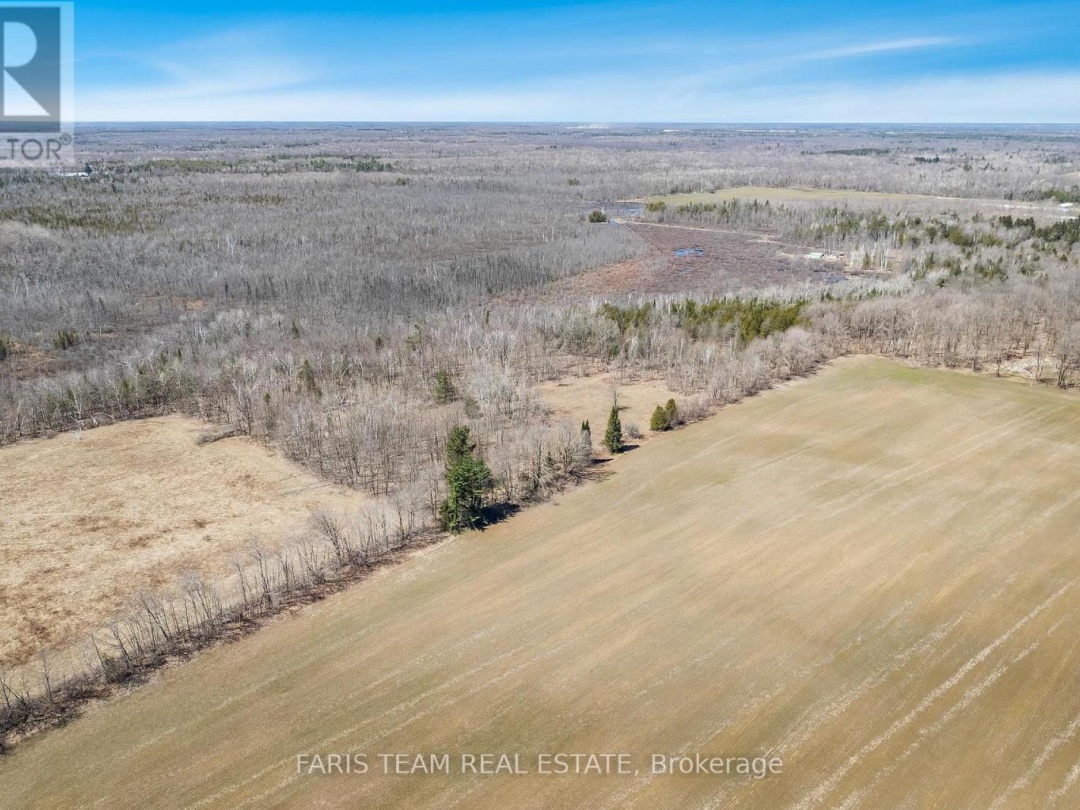 1119 Sajnovic Place, Ramara