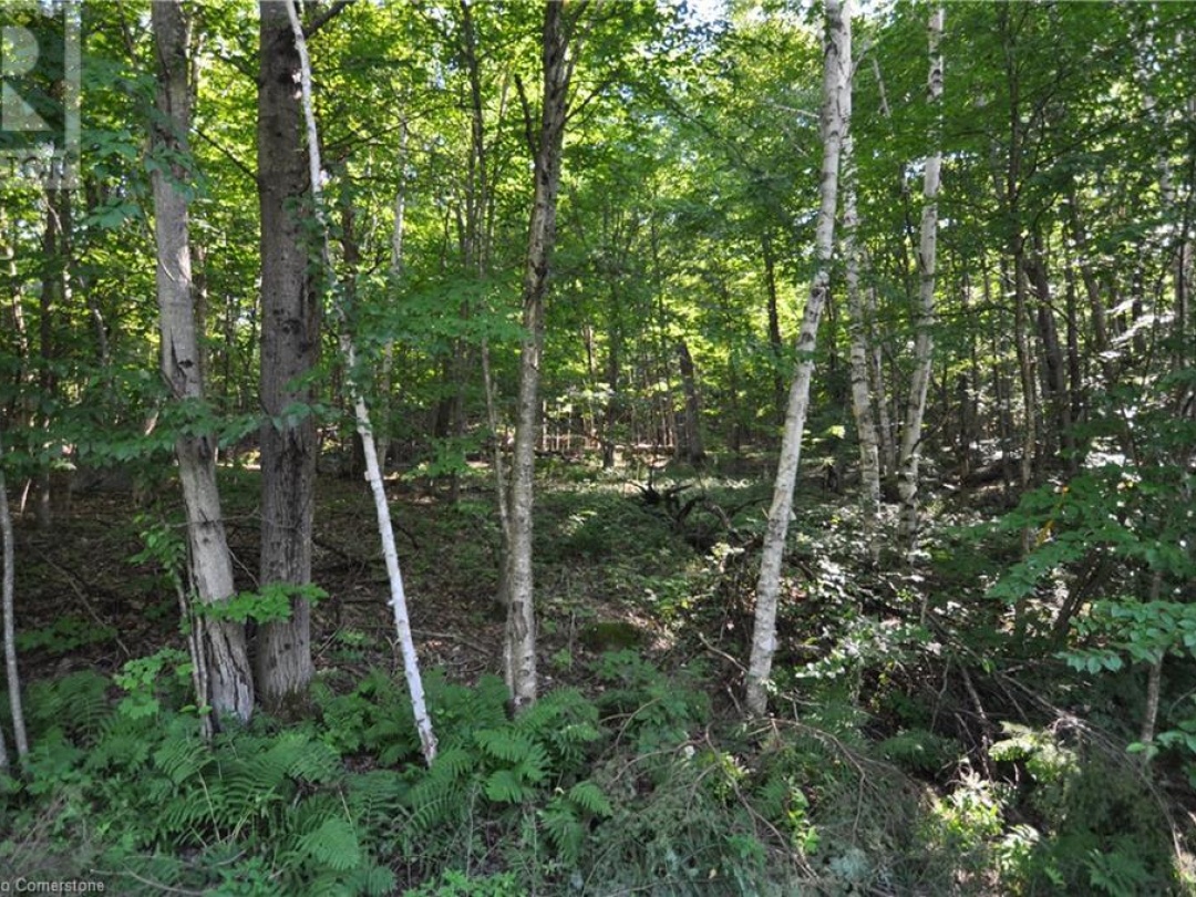 148 Vernon Lane, Huntsville