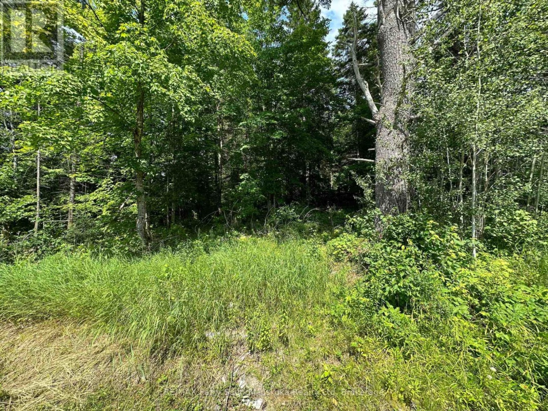 0 Blackwater Road, McKellar