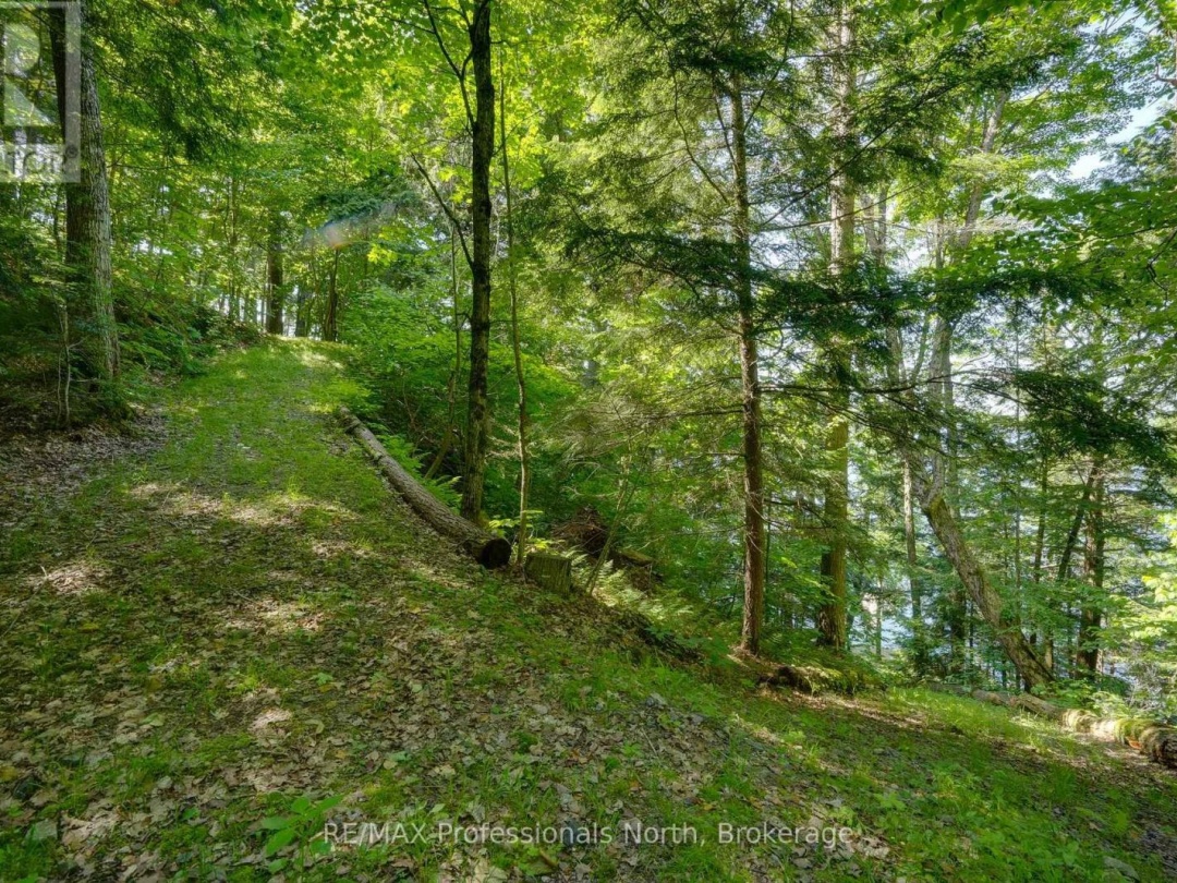 1055 BOXSTOVE POINT TRAIL, 