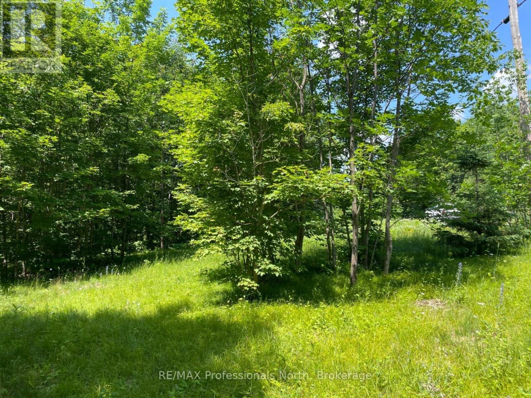 0 Glamor Lake Road, Highlands East