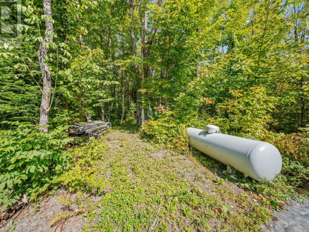 40 SUNSET COVE ROAD, 