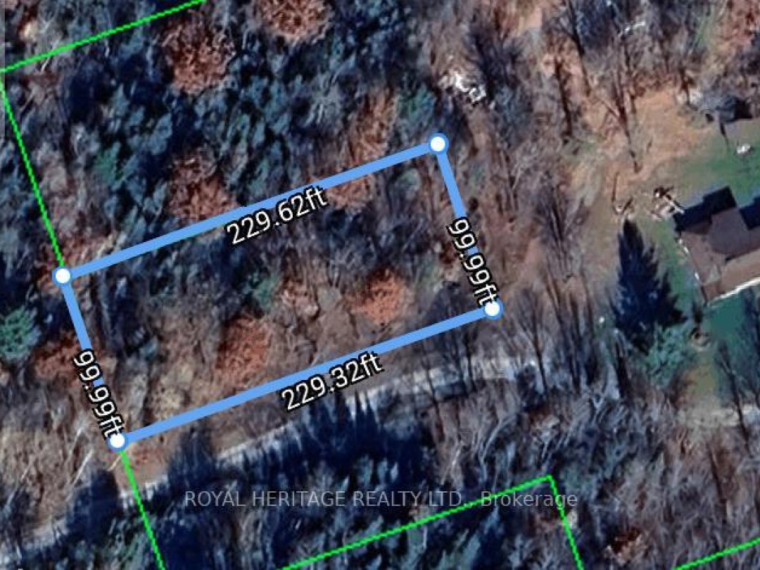 994 COUNTY ROAD 49, Trent Lakes