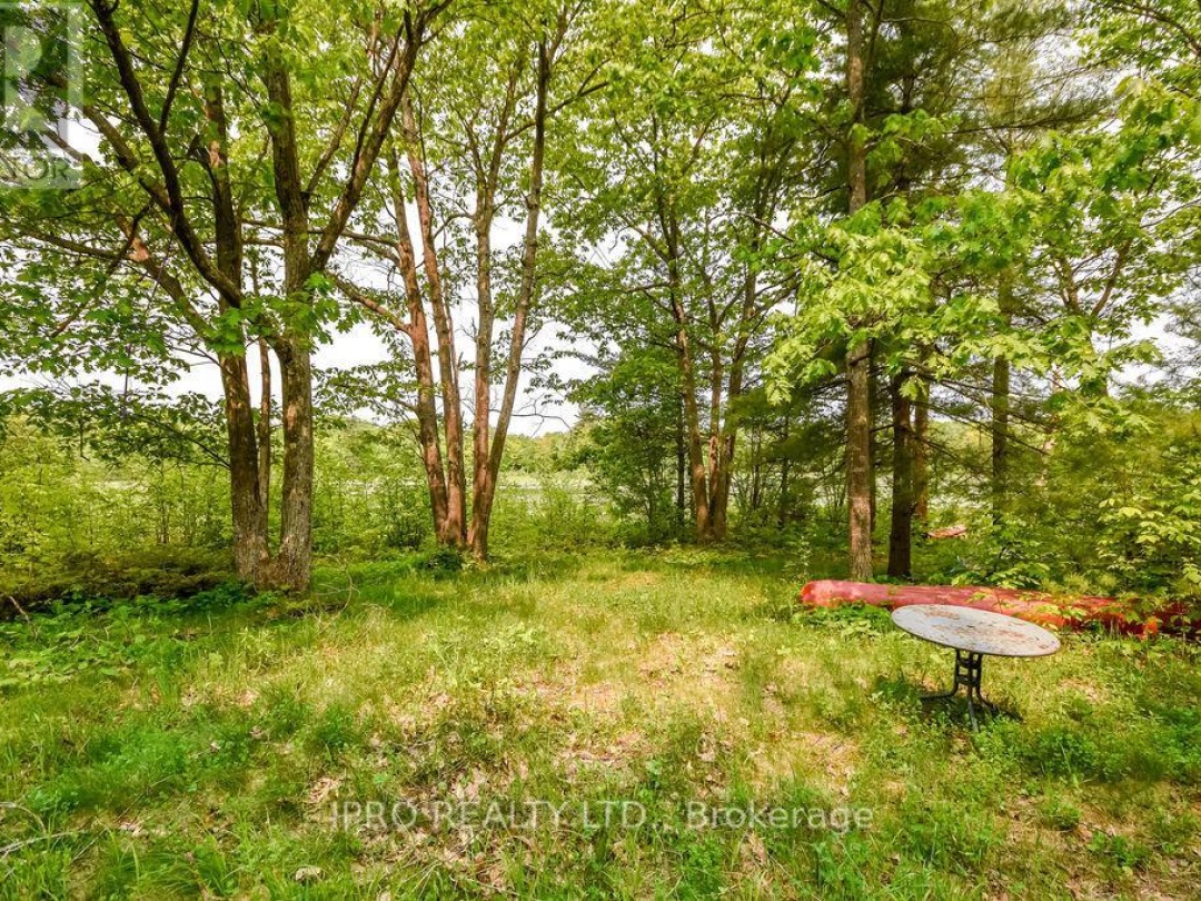 382 Corrievale Road, Little Lake