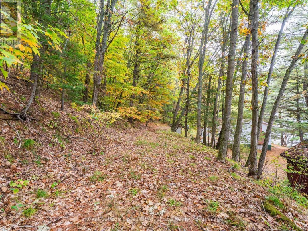 3384 SOUTH PORTAGE ROAD, 