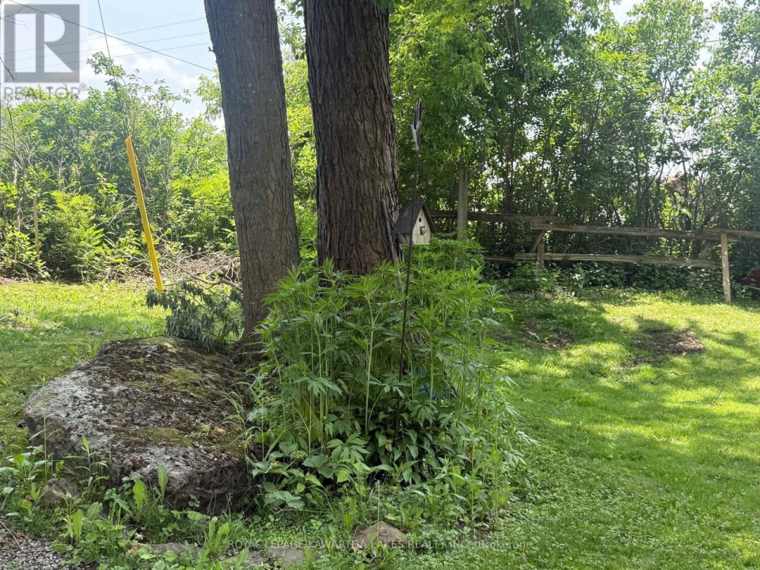 5 GOVERNMENT DOCK ROAD,