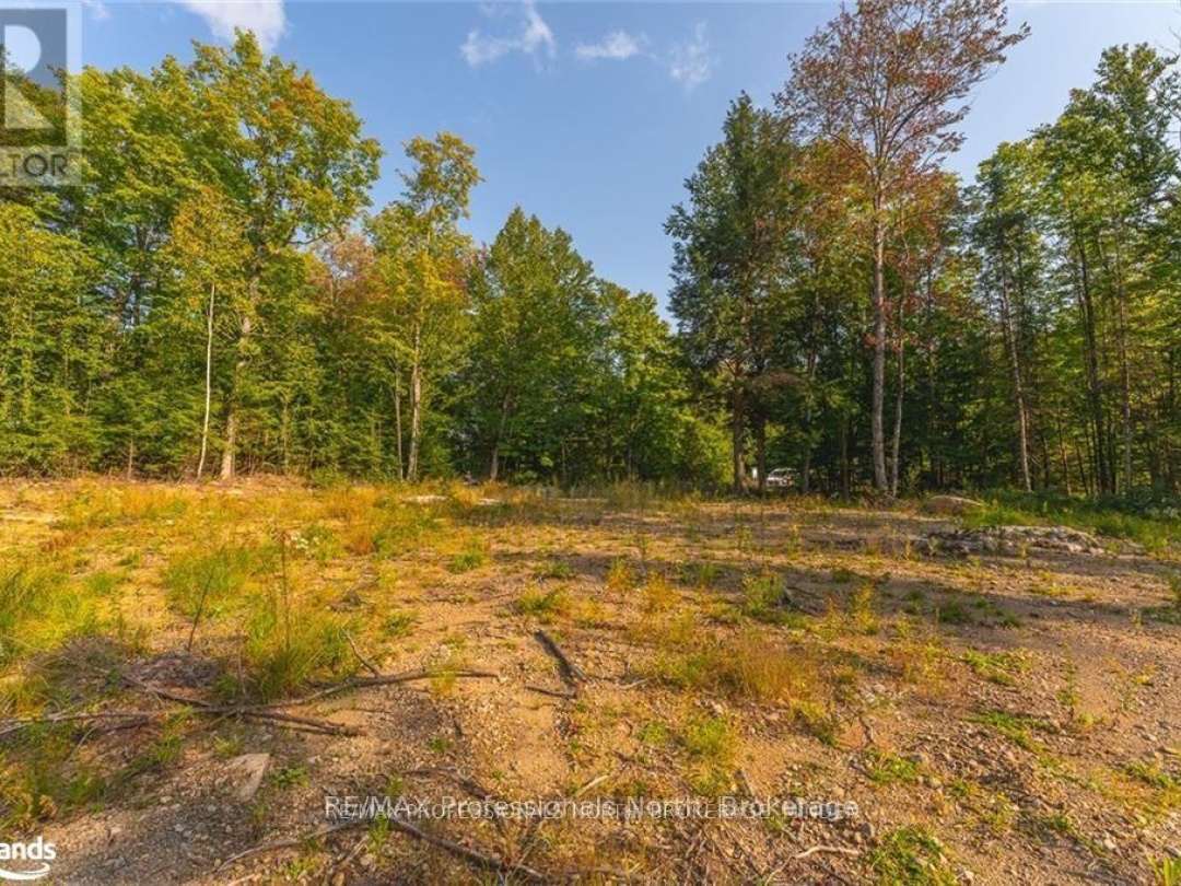 1205 Little Hawk Lake Road, Algonquin Highlands