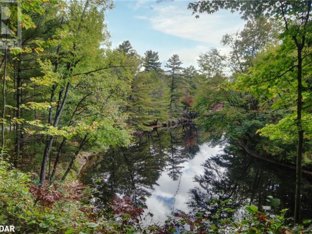 54 BLACK RIVER Road, 