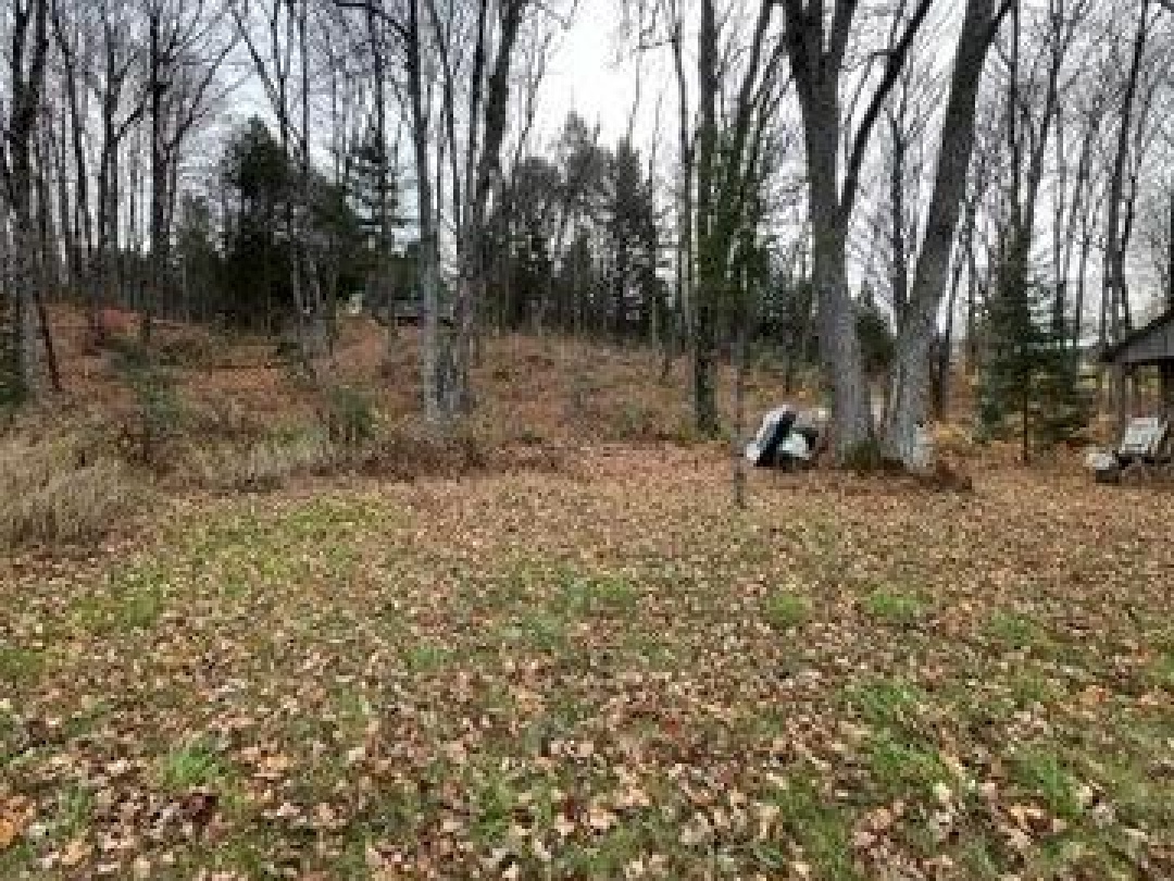 82 Bradley Road, Blackwater Lake