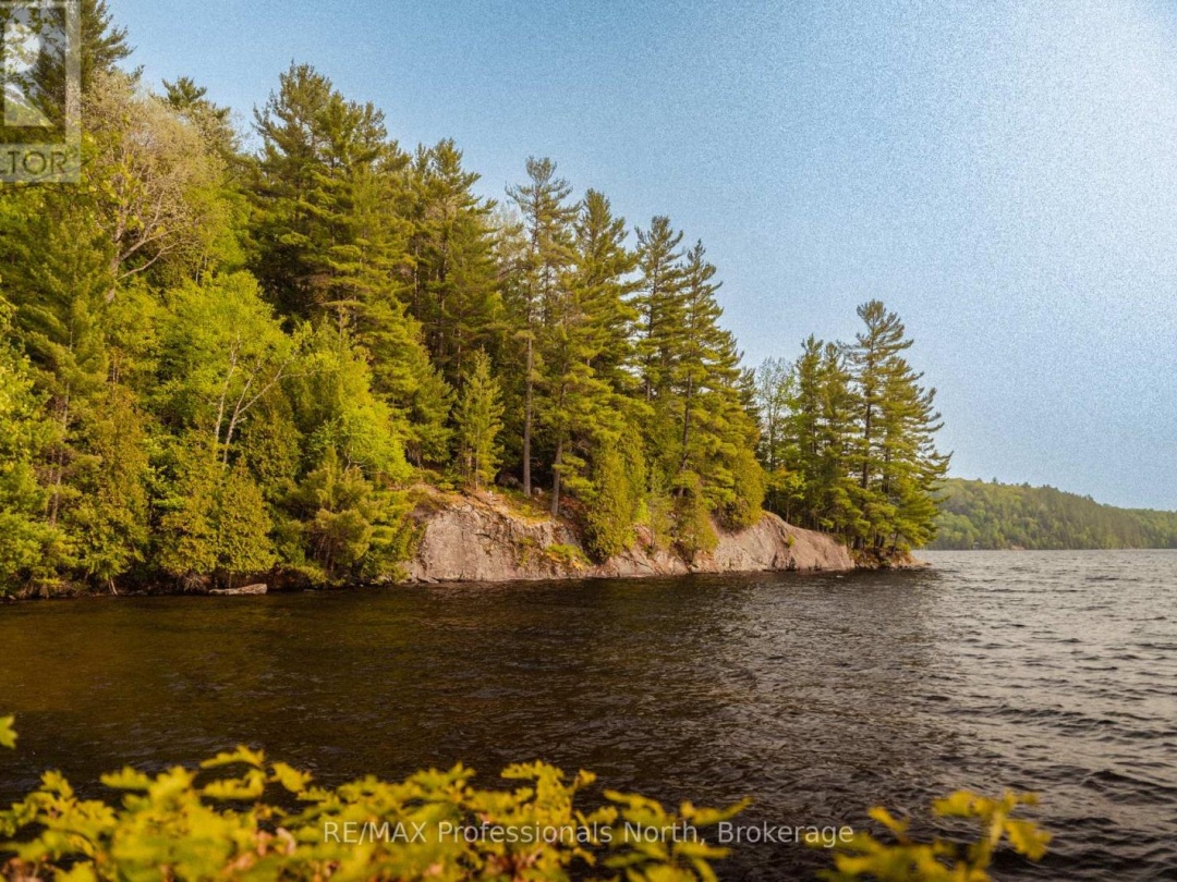 11405 DRAG LAKE EAST SHORE, 