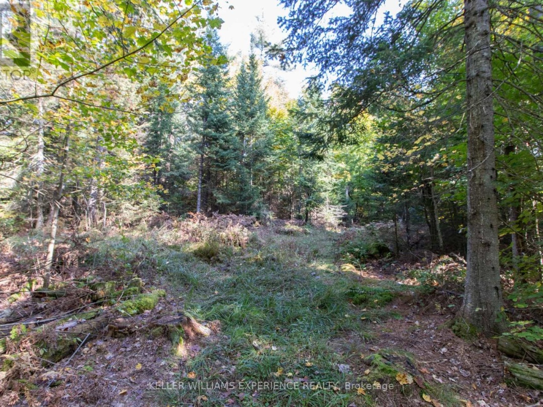 0 LYNX LAKE ROAD, 