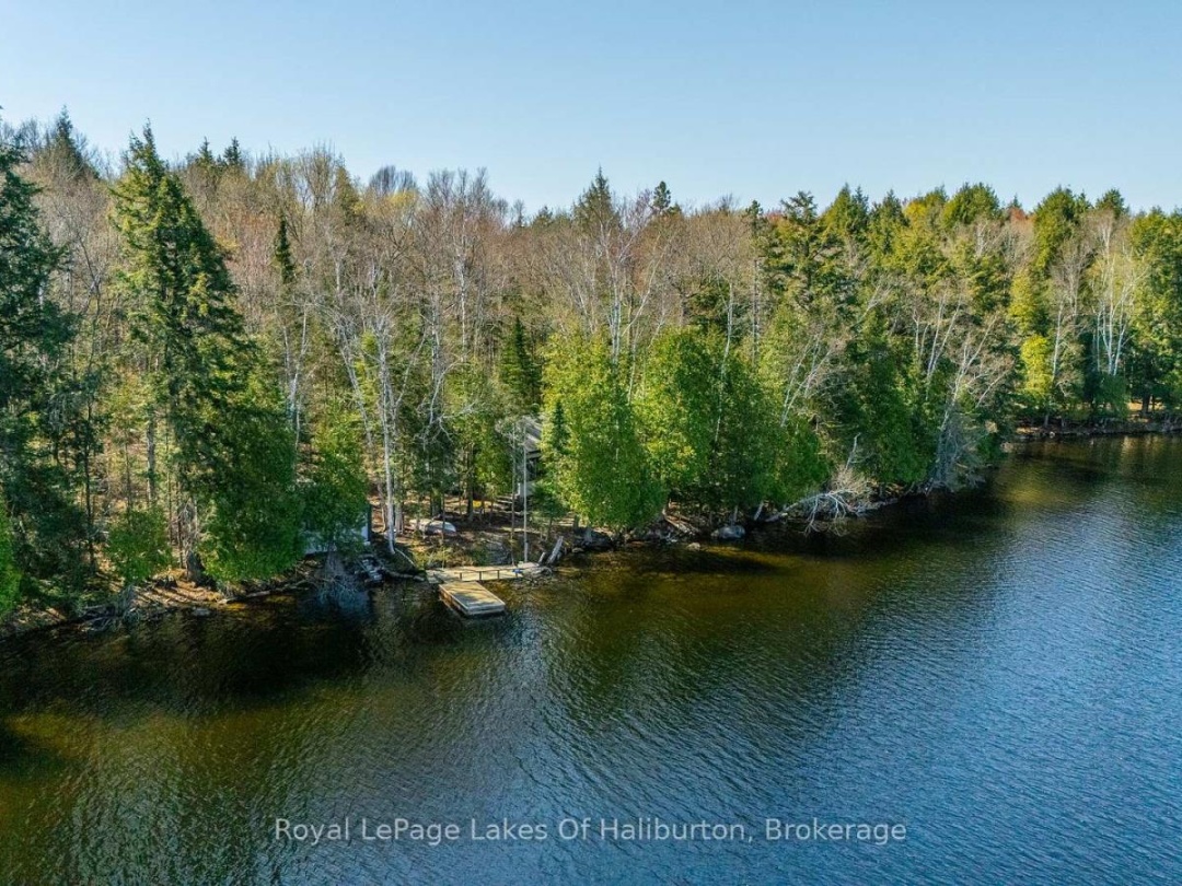 1096 Reg's Trail, Drag Lake
