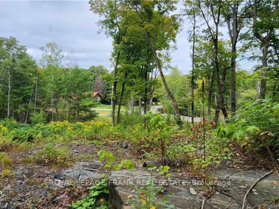 169 NORTHERN AVENUE, Trent Lakes