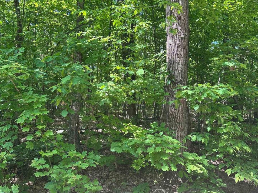 1527 MADILL ROAD, 