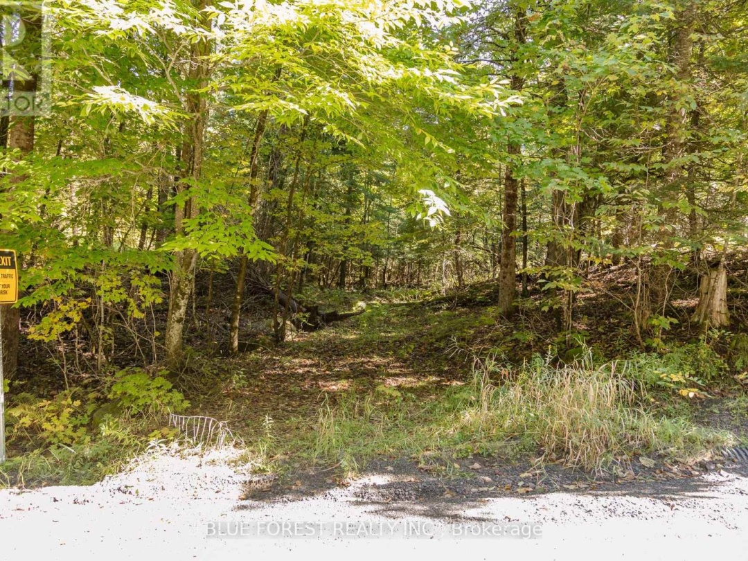 Lot 69 25Th Line, Maple Lake