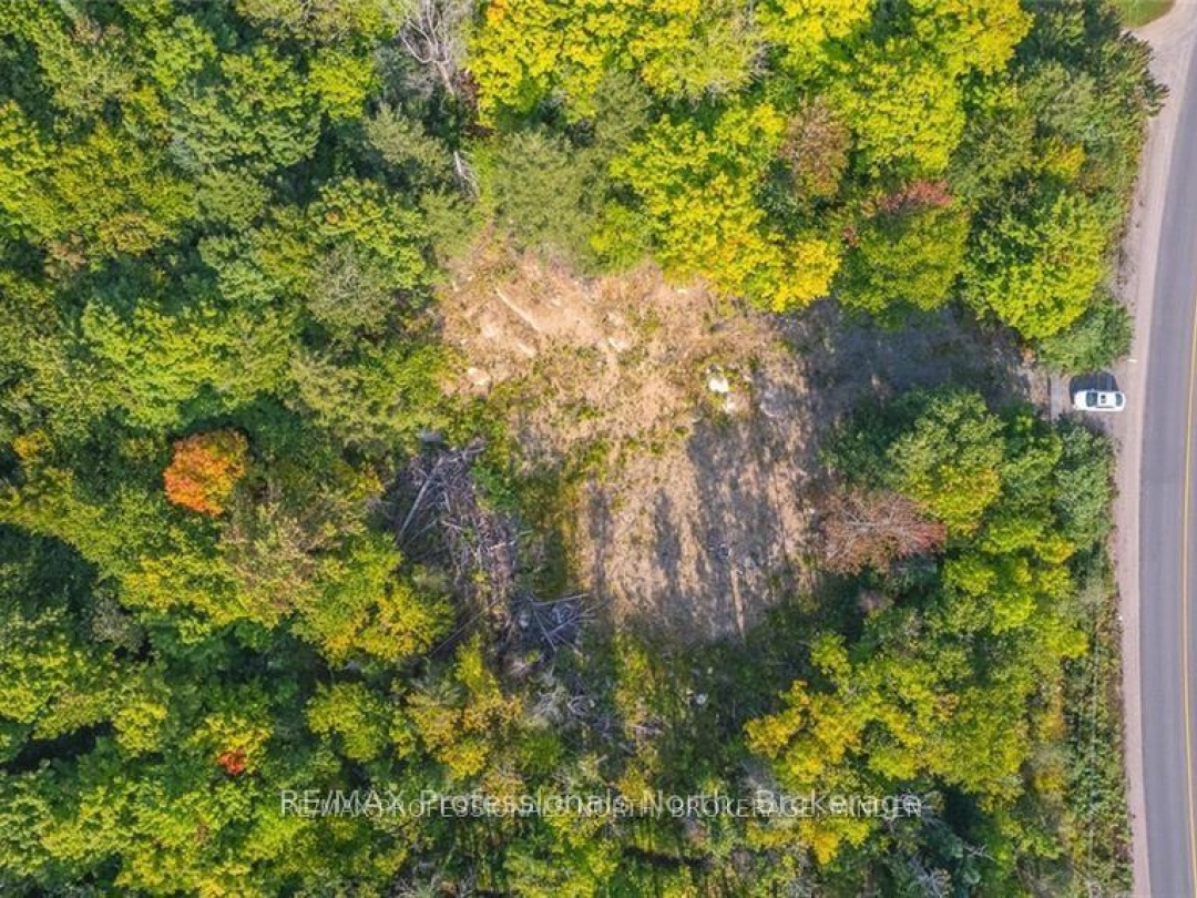 1205 Little Hawk Lake Road, Algonquin Highlands