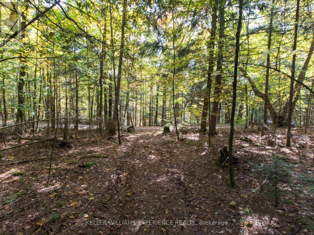 0 LYNX LAKE ROAD, 