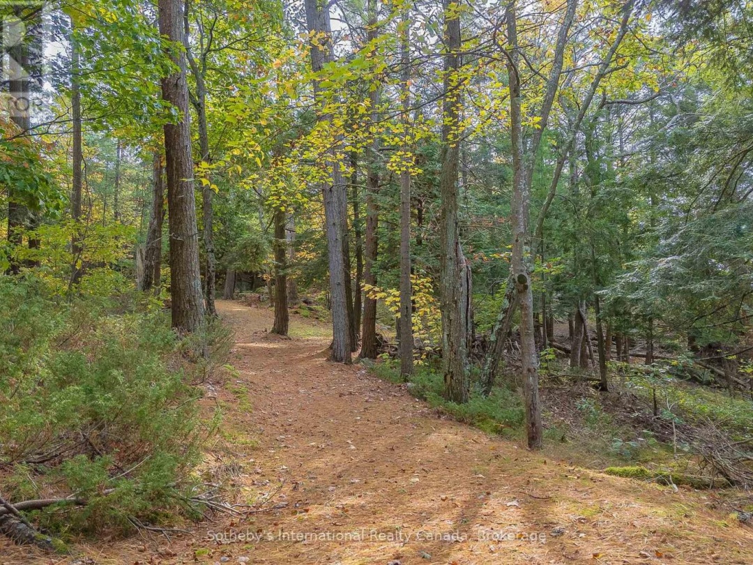 22418 GEORGIAN BAY SHORE, Longuissa Bay
