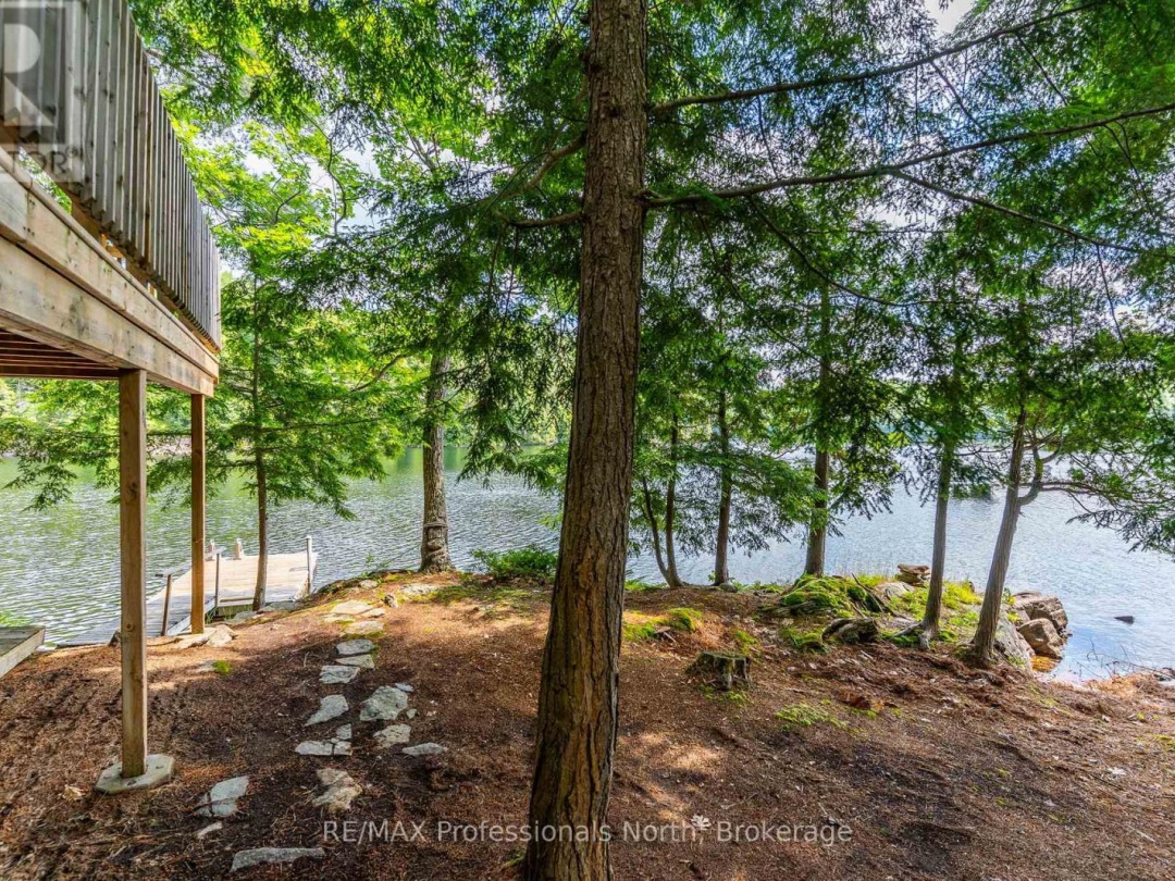 53437 BIG HAWK LAKE, 
