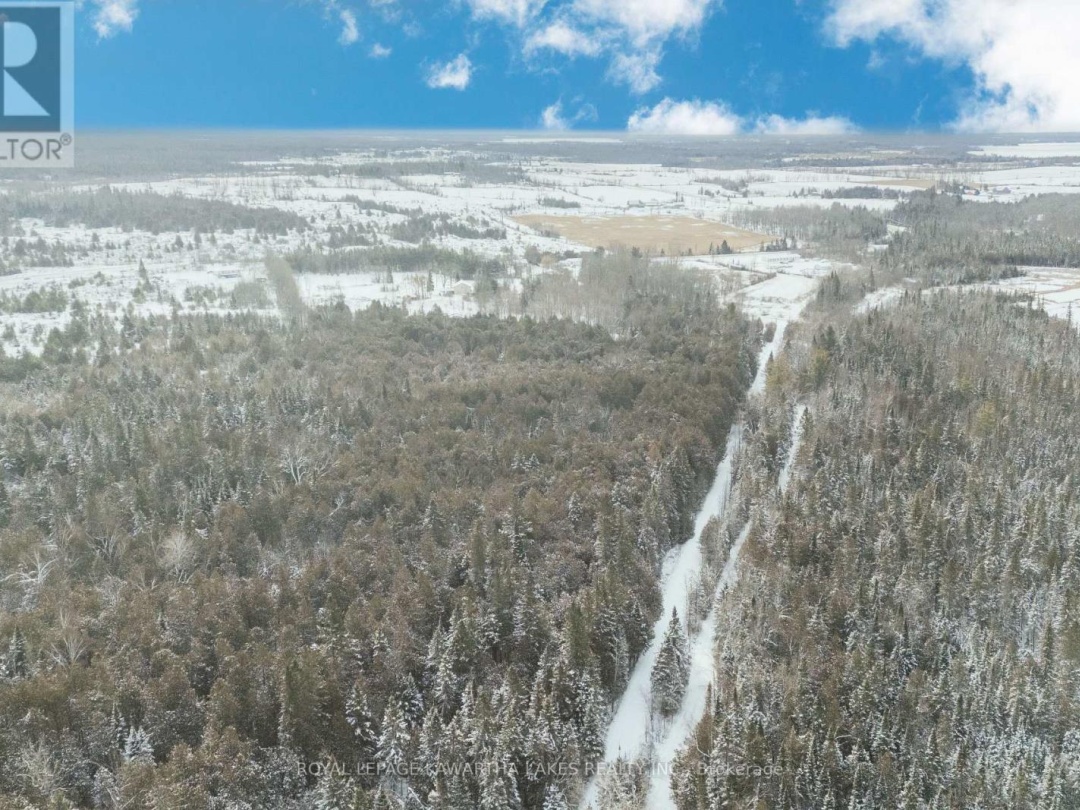 38 FELL STATION DRIVE, 