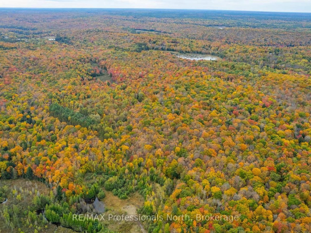 1600 BOBCAYGEON ROAD, 
