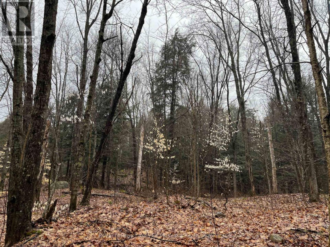 Lot 90 Lookout Point Road, Lake Vernon