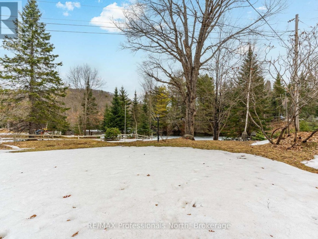 1010 Sturgeon Drive, Minden Lake