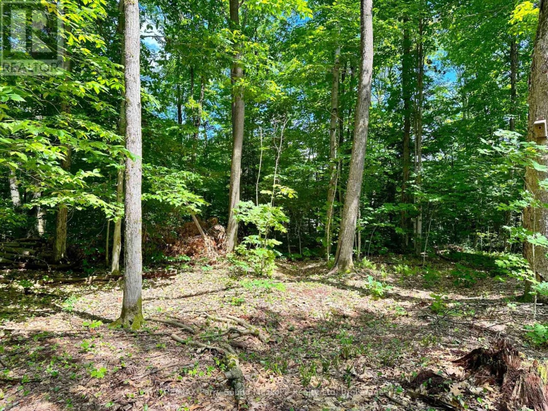63 Sandy Plains Road, Seguin