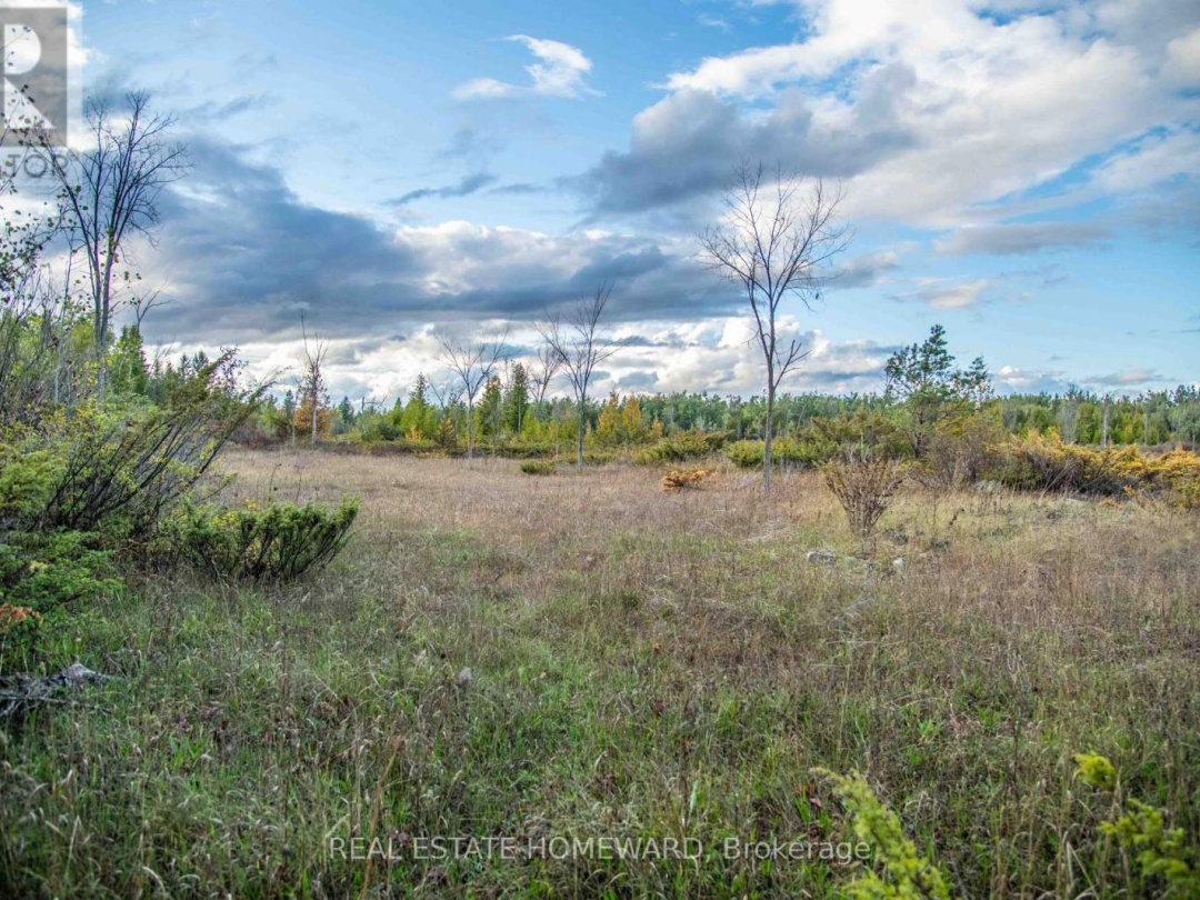 LOT 256 MCGUIRE BEACH ROAD, 