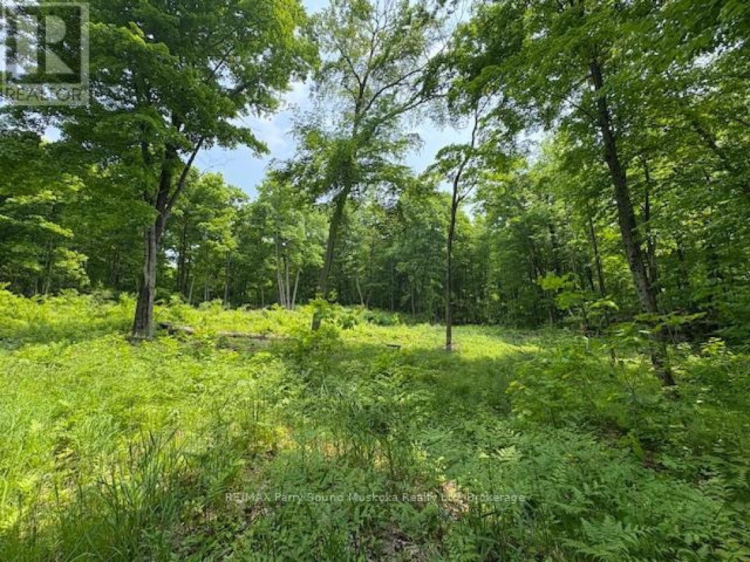 0 Loucks Road, Seguin