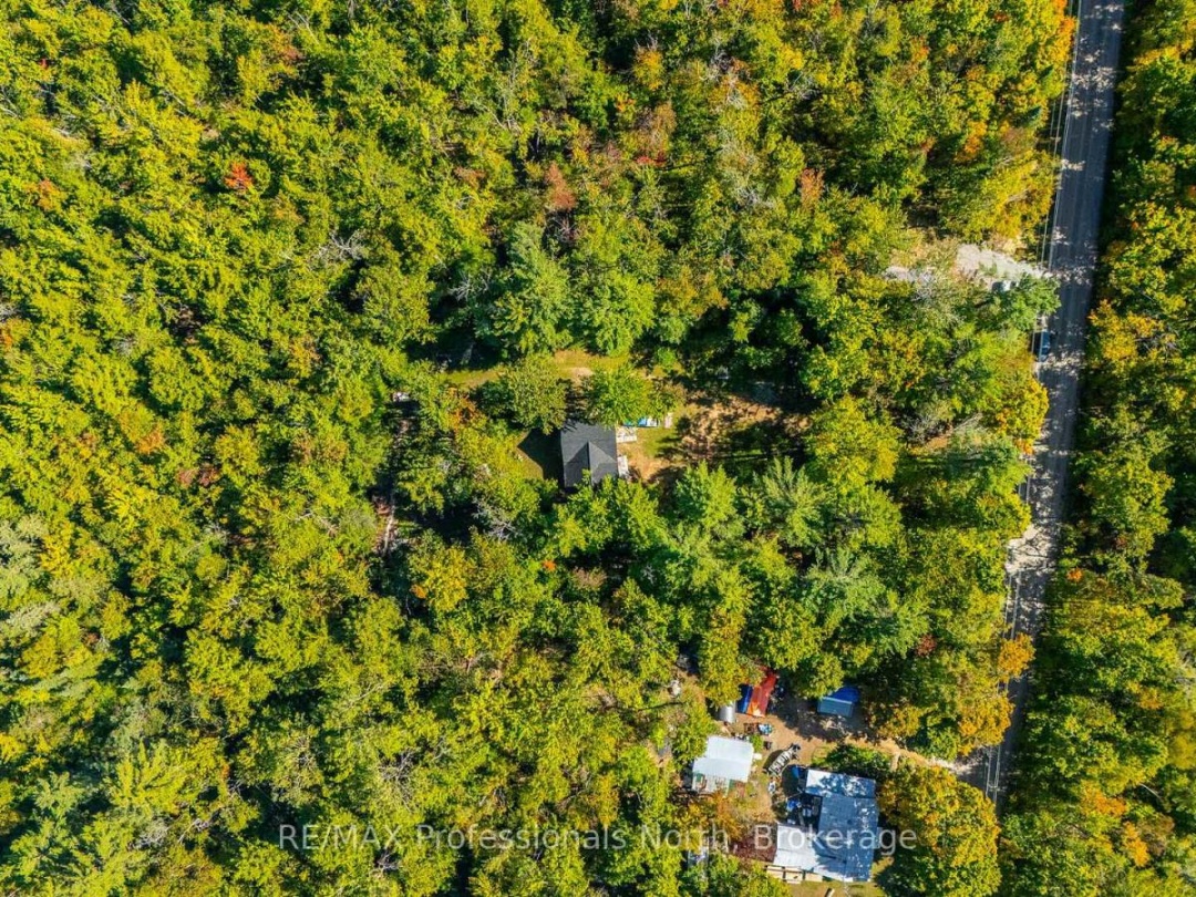 319 BOUNDARY ROAD, 
