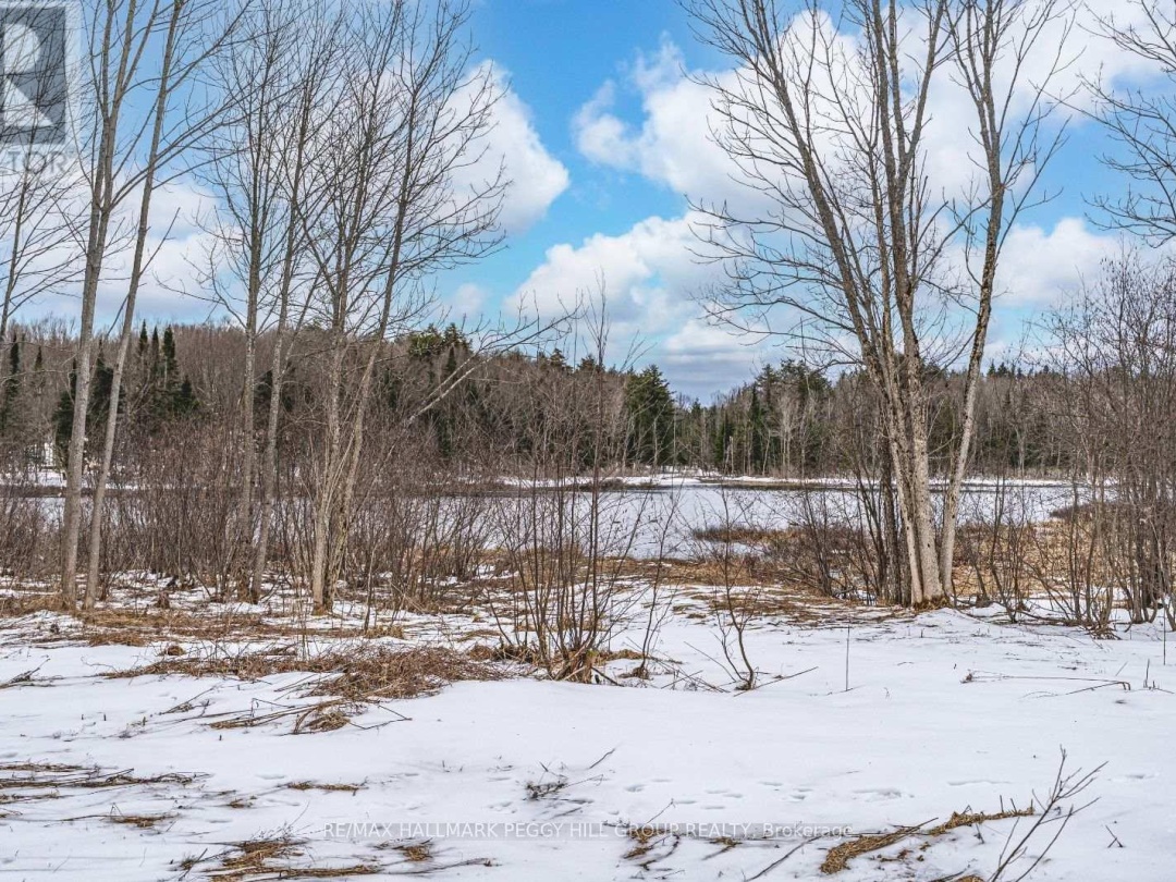 91B Highway 124, Mountain Basin Lake