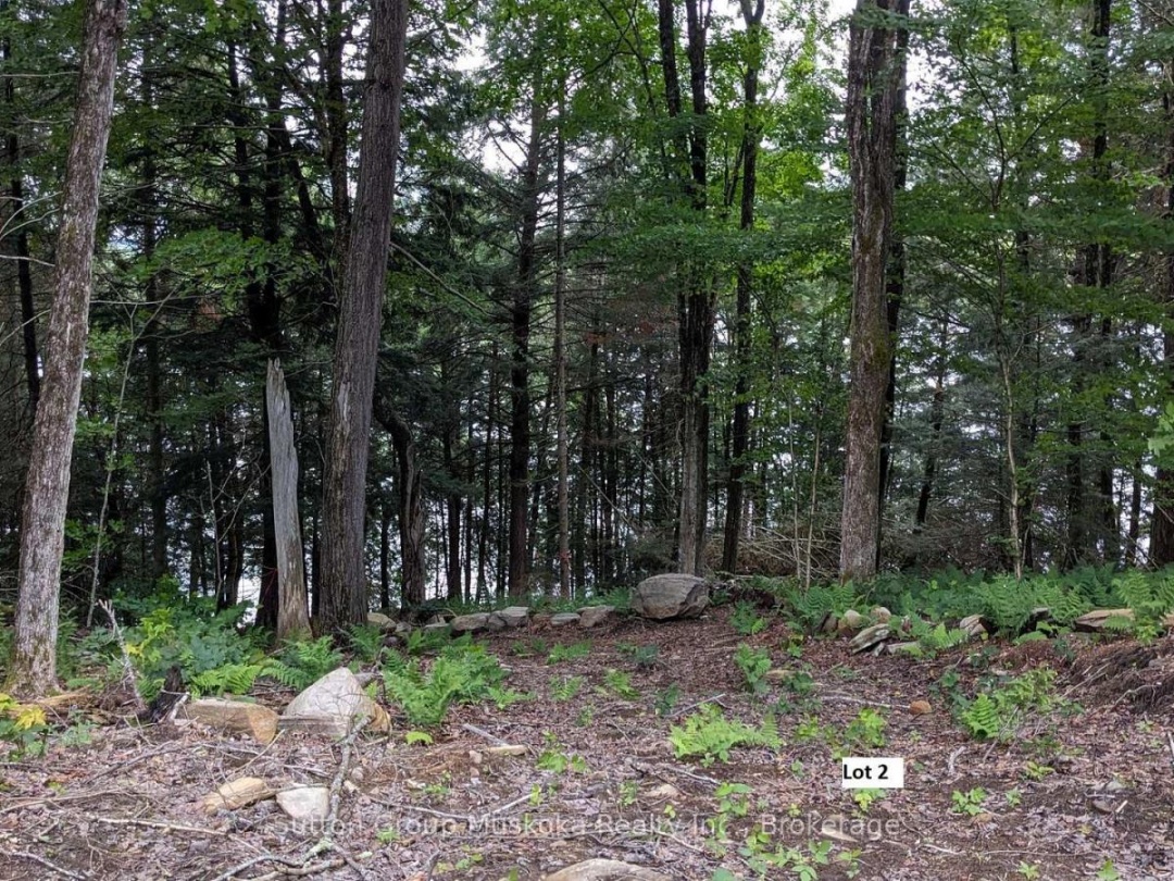 Lot 2 Esig Lane, Rebecca Lake