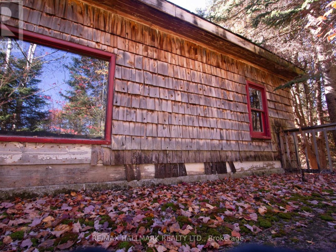 3517 HALIBURTON LAKE ROAD, 